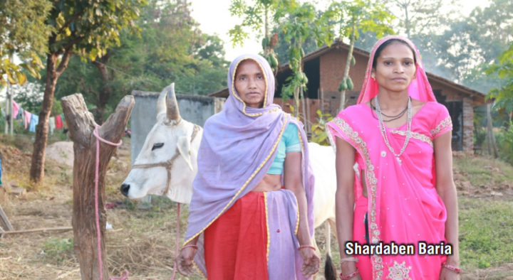 Shardaben Baria , Panchayat Member and Gram Sathi  (Bamroli Muvada, Block: Devgadh Baria, District: Dahod)